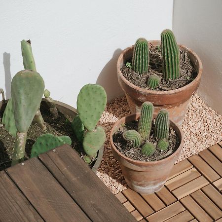 Maja Ostuni Centro - Luxury Apartment ภายนอก รูปภาพ